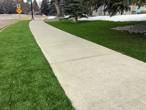 Cost of Concrete Walkway Lifting in Madison