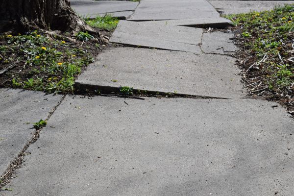 Cost of Concrete Sidewalk Leveling in Madison