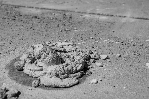 Cost of Driveway Slab Lifting in Madison